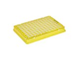 Eppendorf twin.tec® PCR Plate 96 全裙边, 150 µL PCR 洁净级, 黄色, 25 块