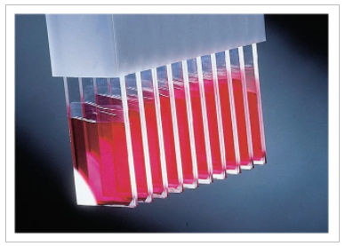 FisherBiotech 22-230-900 ProbeOn及ProbeOn Plus载玻片 货号：22-230-900  品牌：Fisherbrand  规格：144片/盒