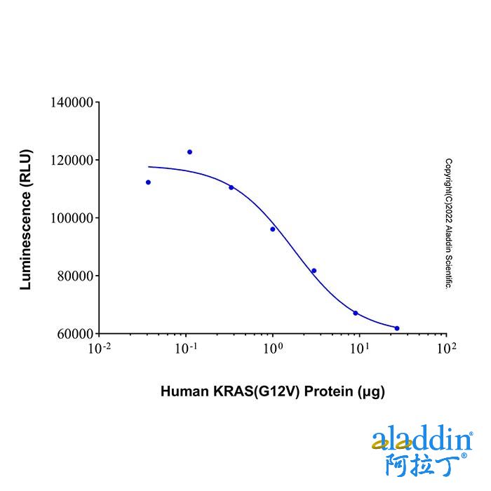 Recombinant Human KRAS (G12S) Protein