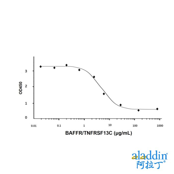 Recombinant Human BAFFR/TNFRSF13C Protein