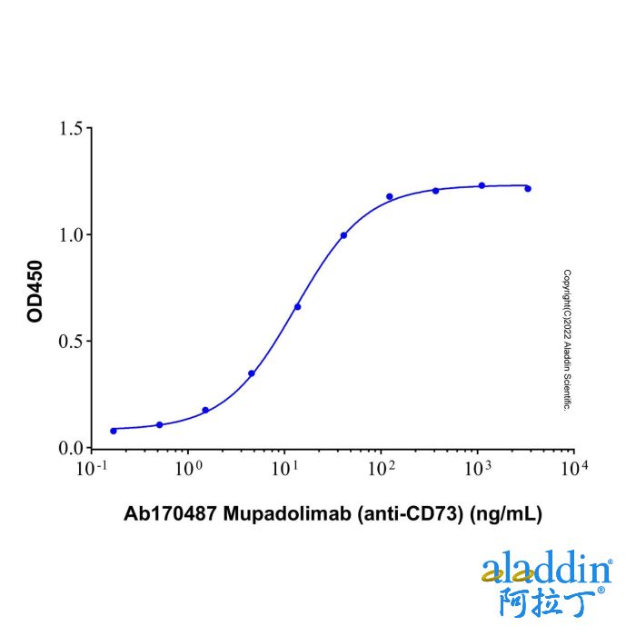 Recombinant Human 5'-nucleotidase/CD73 Protein