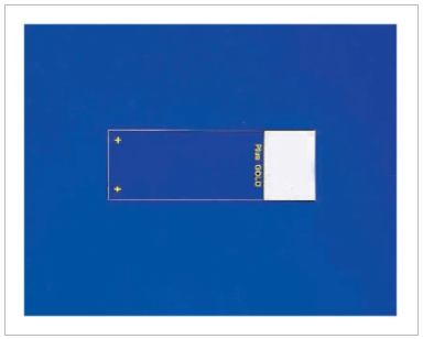 Fisher 22-035813 Scientific组织切片Superfrost金色正电荷载玻片 货号：22-035813  品牌：Fisher  规格：144片/盒