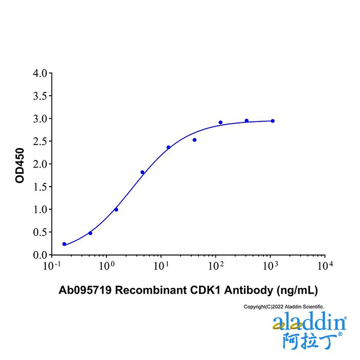 Recombinant Human CDK1 Protein