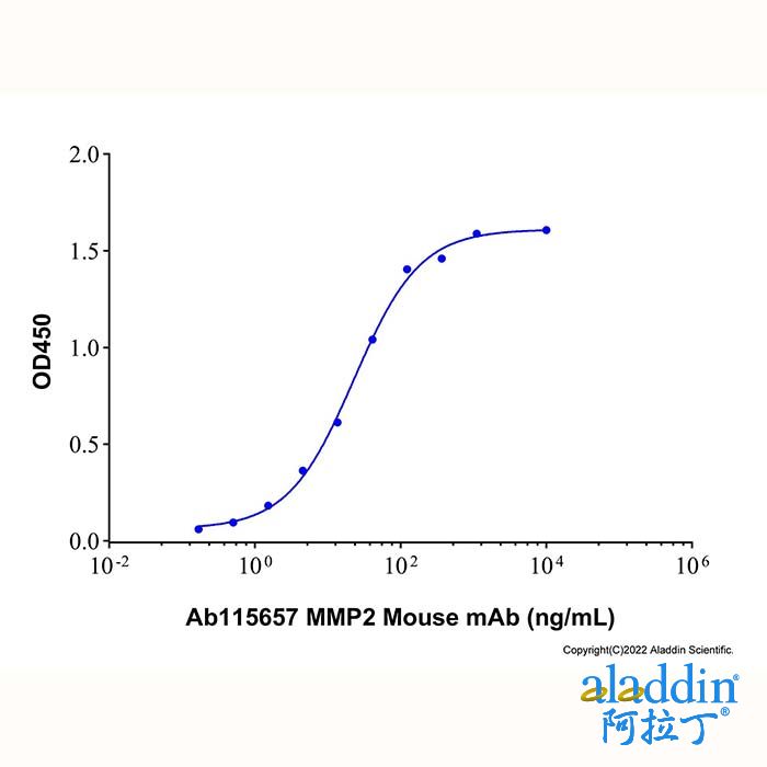 Recombinant Human MMP-2 Protein