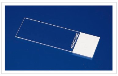 Fisherbrand 12-550-143 Superfrost一次性载玻片 货号：12-550-143  品牌：Fisher  规格：144片/盒