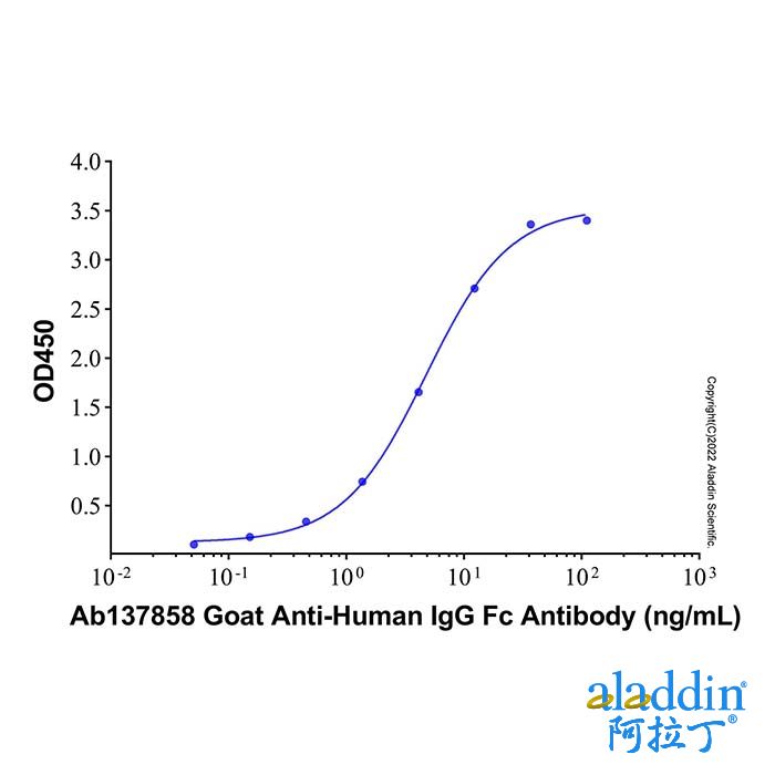 Goat Anti-Human IgG Fc Antibody