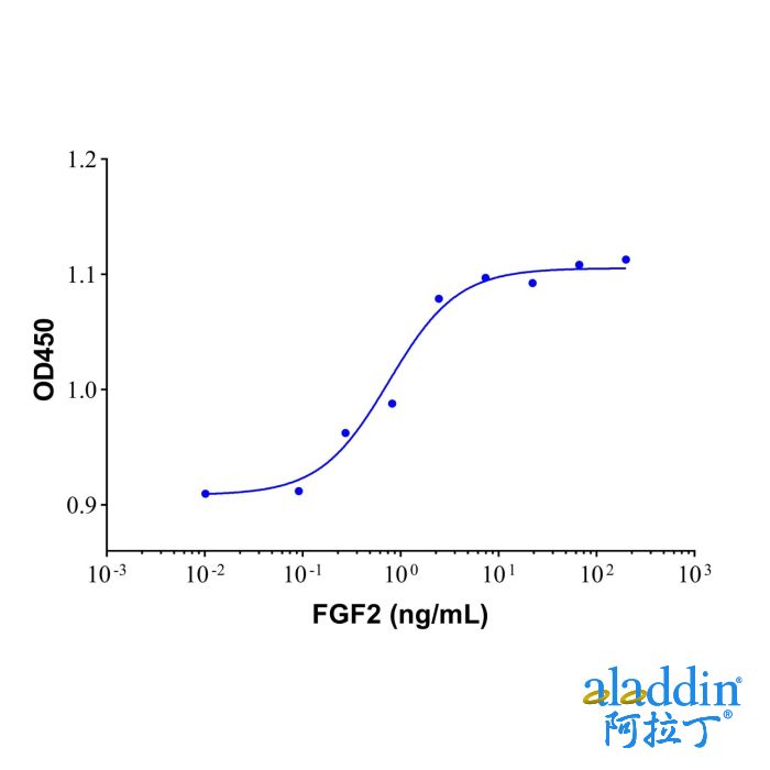 Recombinant Human FGF basic/FGF2/bFGF(155aa) Protein