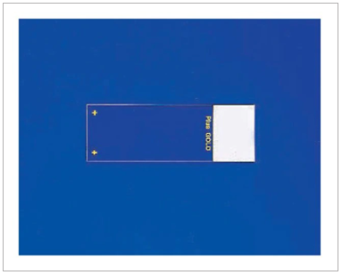 Fisher 15-188-48 组织切片Superfrost金色正电荷载玻片 货号：15-188-48  品牌：Fisher  规格：144片/盒