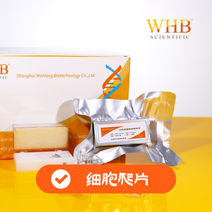 TC处理6孔板圆形细胞爬片，已灭菌