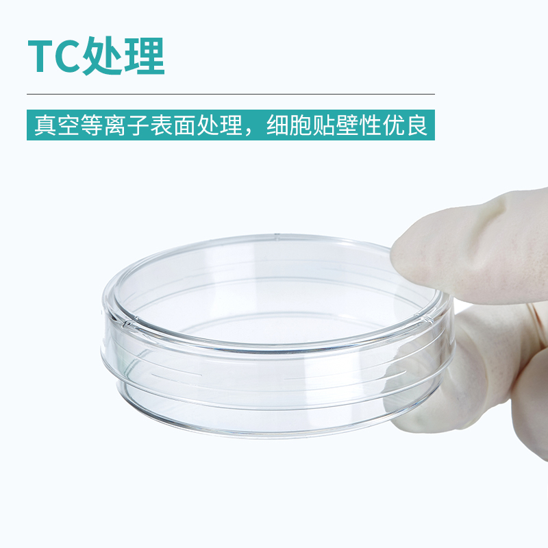 贴壁处理细胞培养皿