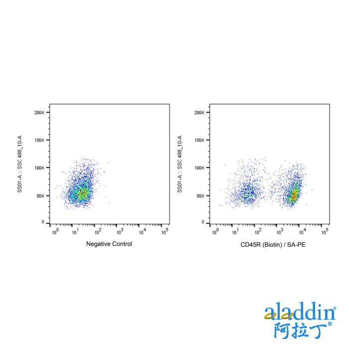 Recombinant Streptavidin Protein (R-PE)
