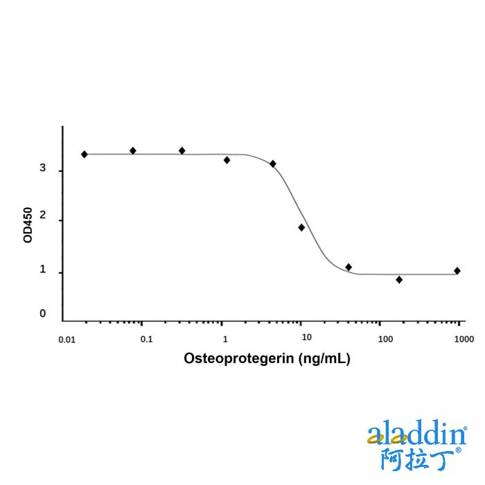 Recombinant Human Osteoprotegerin Protein