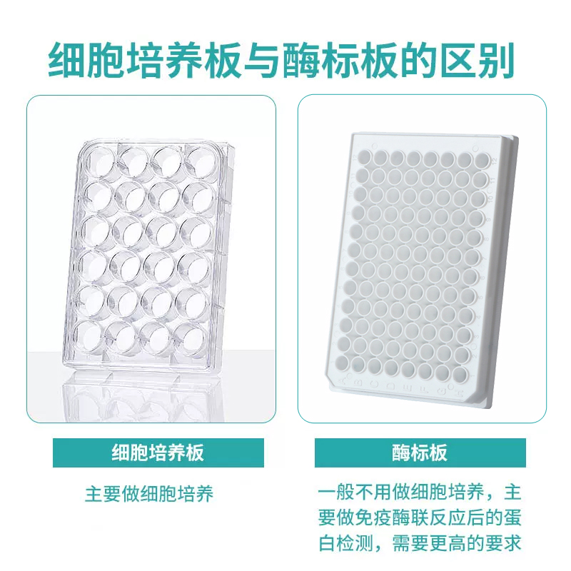 贴壁处理细胞培养板