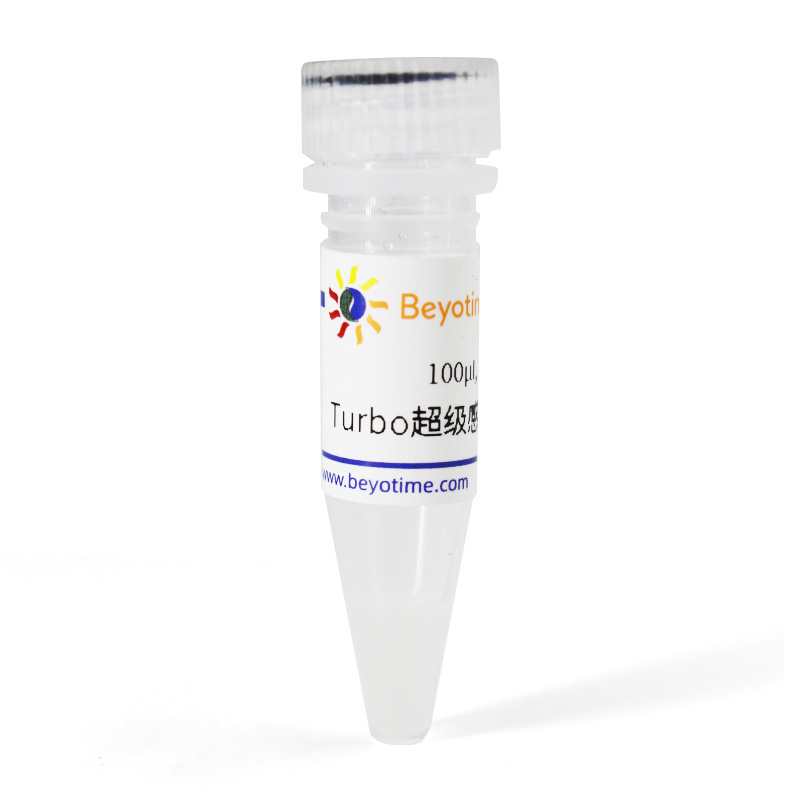 Turbo超级感受态细胞