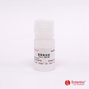 氯霉素溶液（50mg/ml）