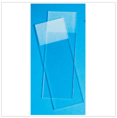 Thermo Scientific 22-034486 显微镜载玻片 货号：22-034486  品牌：Thermo Scientific  规格：144片/盒