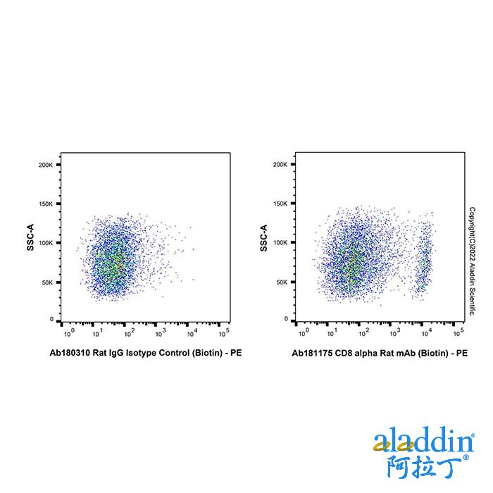 CD8 alpha Rat mAb (Biotin)