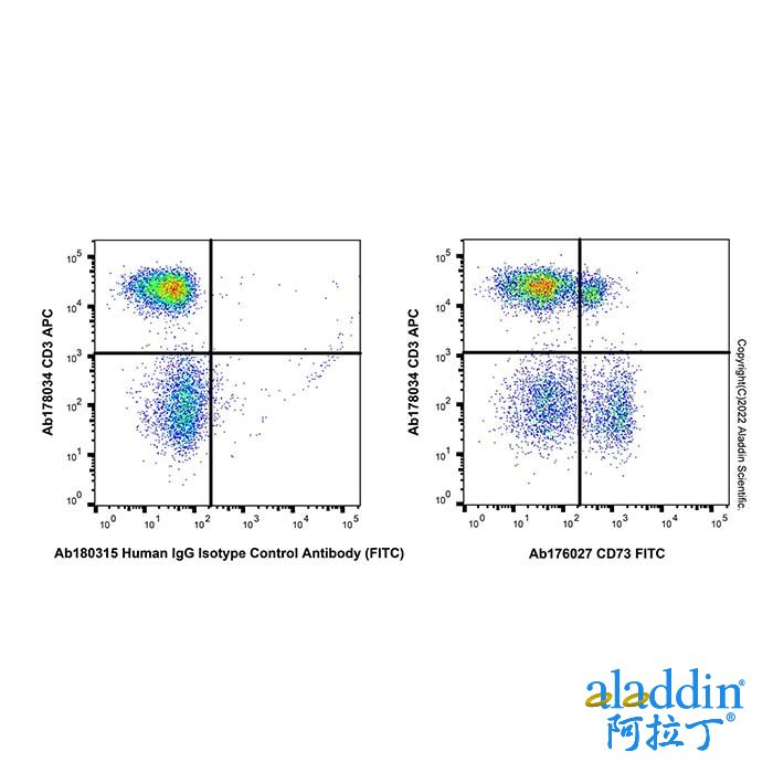 Recombinant CD73 Antibody (FITC)