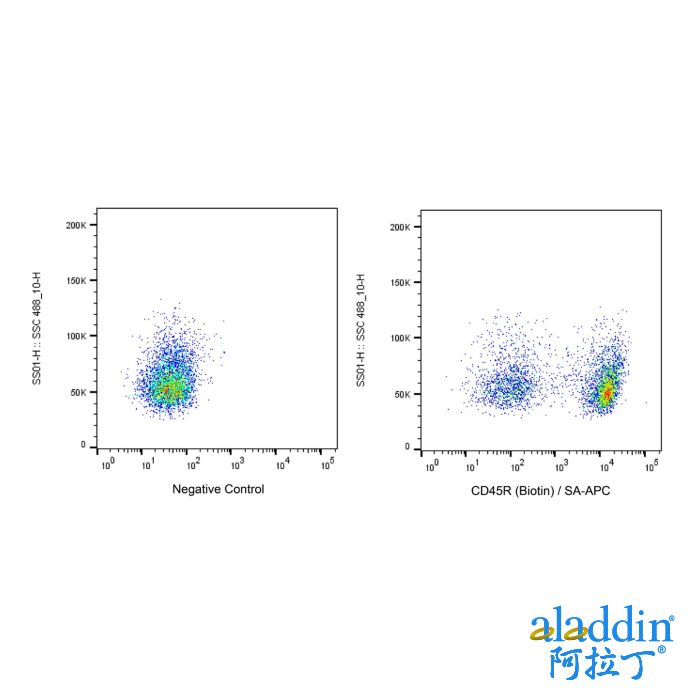 Recombinant Streptavidin Protein (APC)