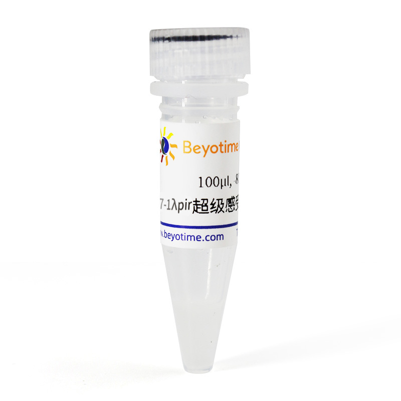 S17-1λpir超级感受态细胞