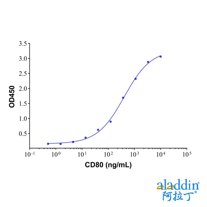 Recombinant Human CD80 Protein