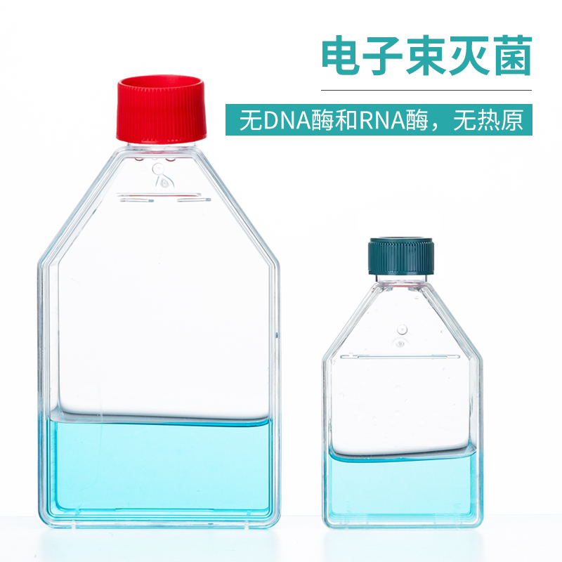 贴壁细胞细胞培养瓶