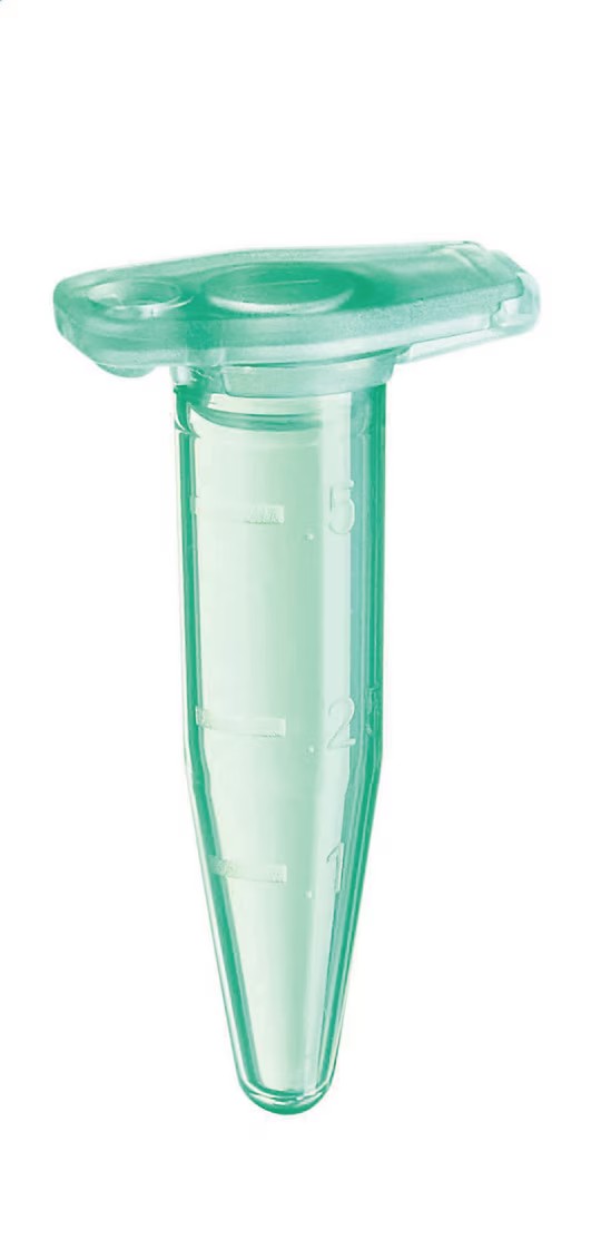 Eppendorf Safe-Lock Tubes