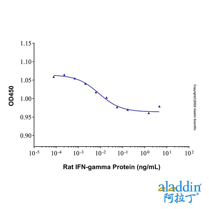 Recombinant Rat IFN-gamma Protein
