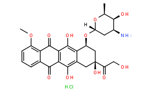 25316-40-9/盐酸阿霉素