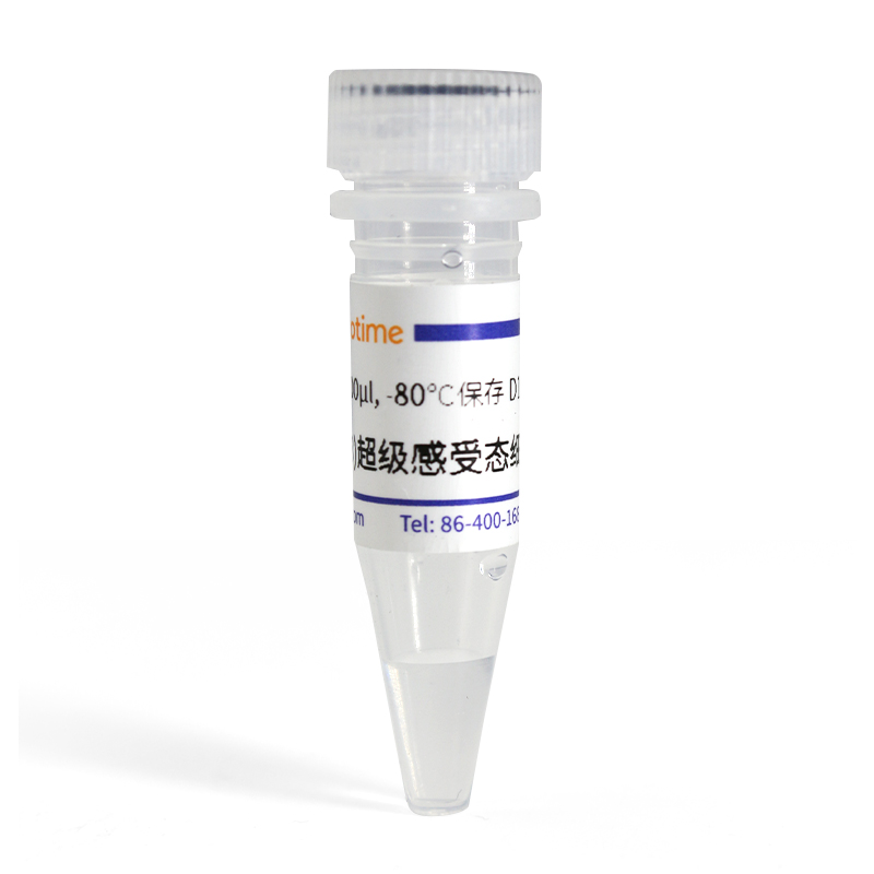 HT115(DE3)超级感受态细胞