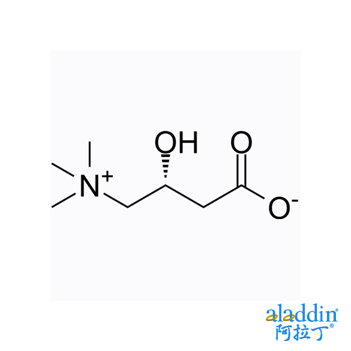 541-15-1/L-Carnitine