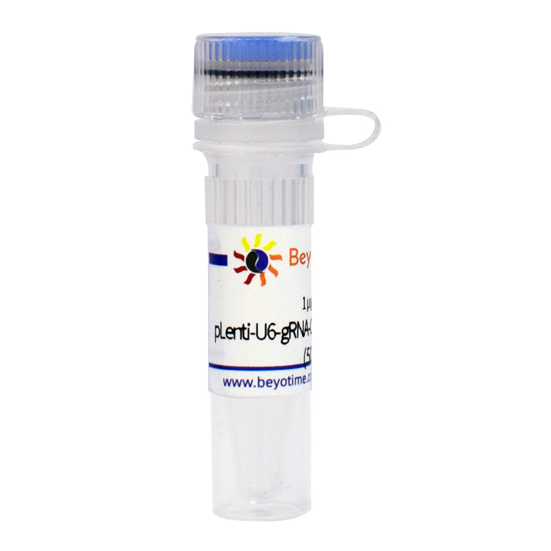 pLenti-U6-gRNA-Cas9-P2A-mCherry-Neo