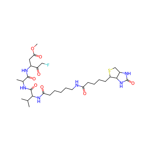 1135688-15-1/Biotin-VAD-FMK