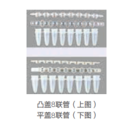 LabServ PCR 8联管