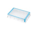 Deepwell Plate 96/500 µL
