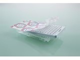 Eppendorf twin.tec® 96 real-time PCR Plate