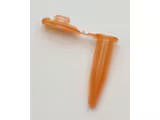 Eppendorf Safe-Lock Tubes 0.5 mL Eppendorf Quality优质级, 红色, 500 个
