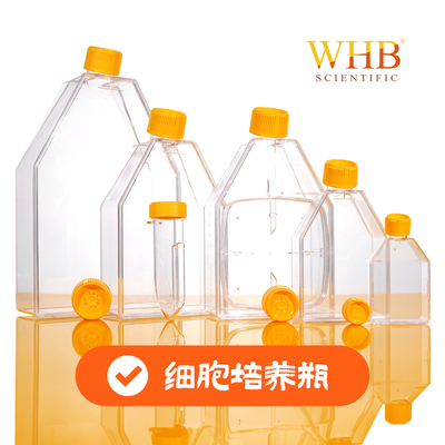 TC处理25cm²培养瓶，50ml，透气盖，灭菌