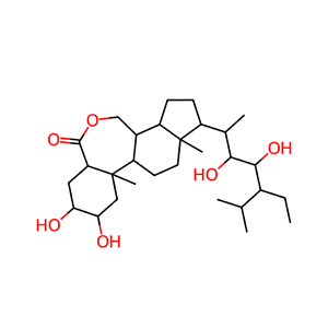 80483-89-2/22 (S) ,23 (S)-高溴二苯醚