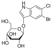 93863-89-9/5-溴-6-氯-3-吲哚-β-D-吡喃葡萄糖苷