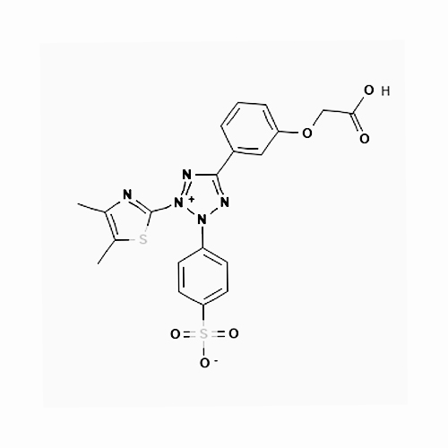 138169-43-4/MTS试剂, cell proliferation assay reagent
