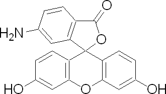 51649-83-3/6-氨基荧光素