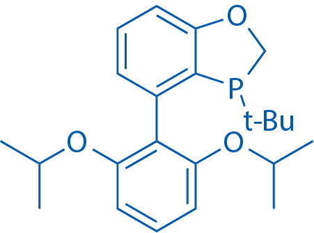 2634687-76-4/3-(叔丁基)-4-(2,6-二异丙氧基苯基)-2,3-二氢苯并[d][1,3]氧磷杂环戊二烯/ 赜军医药授权销售