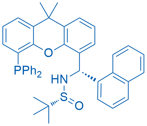2565792-60-9/[S(R)]-N-[(S)-(1-萘基)[5-(二苯基膦)-9,9-二甲基-9H-氧杂蒽]甲基]-2-叔丁基亚磺酰胺