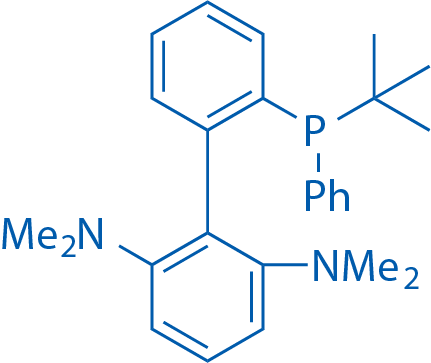 2703202-81-5/2'-(叔丁基(苯基)膦基)-N2,N6-二甲基-[1,1'-联苯]-2,6-二胺