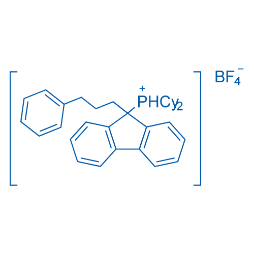 1007311-95-6/Dicyclohexyl-[9-(3-phenylpropyl)-9-fluorenyl]-phosphonium tetrafluoroborat