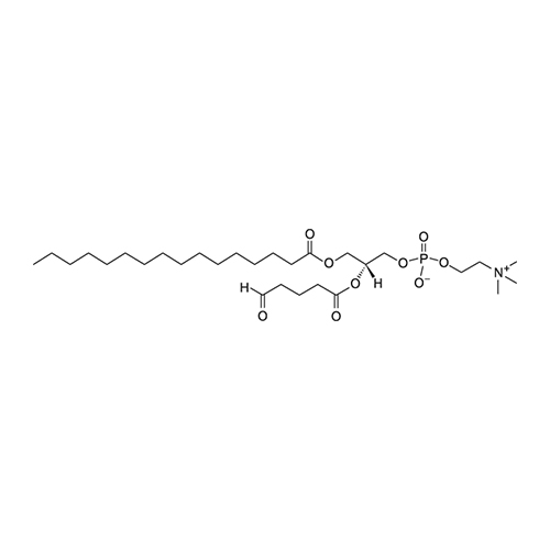 121324-31-0/1-palmitoyl-2-(5'-oxo-valeroyl)-sn-glycero-3-phosphocholine