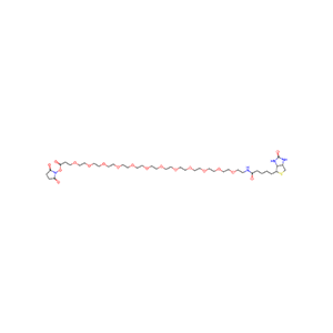 365441-71-0/(+)-Biotin-PEG24-NHS Ester