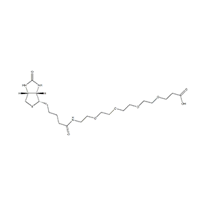 721431-18-1/(+)-Biotin-PEG4-propionic acid