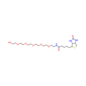 906099-89-6/(+)-Biotin-PEG6-OH